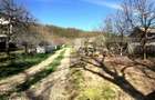 Teren mixt -construibil (intravilan) + livada matura (Extravilan) - 9