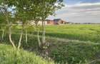 Teren vanzare Otopeni, str Panait Istrati. 1200 mp propus intravilan. zona buna - 5