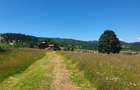 Teren 10.011mp sat Sarisor, comuna Saru Dornei, judetul Suceava - 8