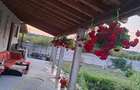 Casa 75mp + Teren 900mp, Str. Principala, Tele?ti, Gorj - 5
