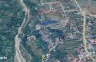 Teren intravilan 4.733 mp - Drajna de Jos, Prahova - 5