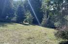 Casa de vacanta in padure Valenii de Munte Valea Gardului