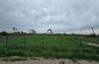 Teren 5600 mp Snagov Lac - 5