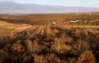 Reco Teren intravilan in Saldabagiu de munte 4333MP - 13