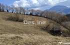 Teren 5000 mp, ideal cabana, pensiune, in zona de interes - 4