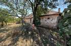 CASA cu Teren de 1.381 mp in cartierul Episcopia Bihor - 10