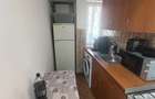 Apartament 2 camere Terezian - 6