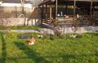 VANZARE VILA | P+1+M | ZONA NICOLAE GRIGORESCU - 3