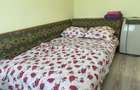 RENT//Vanzare Casa de vacanta - Delta Dunarii Baltenii de Jos DELTA DUNARII - 7
