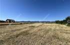 Teren intravilan de 543 mp cu PUZ constructie duplex in Cristian