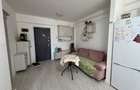 Apartament cu 2 camere Visan - 5