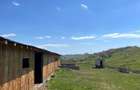 Ferma zootehnica / stana pentru oi si vaci teren 10.000 mp - Maneciu-Pamanteni
