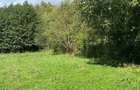 Vand teren intravilan in Beznea , Bratca - 2