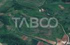 Oportunitate investitie Teren de vanzare 10000 mp zona Guste - Sibiu (Sibiu)