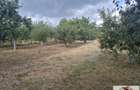 Teren intravilan de vanzare in Alba Iulia - Micesti