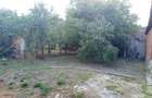 Naidas, Casa 7 Incaperi, 842mp Teren, Pret Negociabil - 21