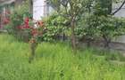 Apartament 2 camere sovata - 1