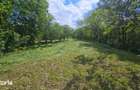 Teren de vanzare in Comarnic - 1