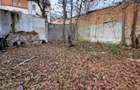 REV0017192 Piata Victoriei - VIla interbelica cu gradina - 6