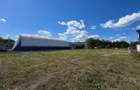 Teren intravilan 5.000 mp, str. Lanii Bartolomeu! - 4