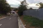 VIND CASA IN RECAS CENTRAL CU TEREN MARE , DIVERSE OPORTUNITĂȚI - 13