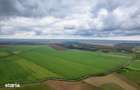Teren extravilan in Sannicolau Mare 14.6 ha - 3