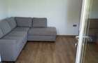 Proprietate Impunatoare D+P+1E+M Teren 1600 mp Bascov (Sat Uiasca) - 8