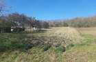 Teren de 1780 mp, în Călinești