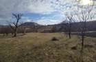 Teren intravilan, 3800 mp, ideal investitie - zona turistica , Moigrad - 1
