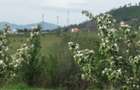 Vand teren in intravilanul ora?ului - 4