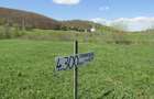Teren Valea Mare, 4300mp - 2