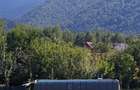House for sale, 5 Rooms, 180 sqm, Valea Dejani - 6