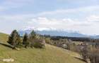 Teren Intravilan 3.791 mp | Priveli?te Panoramica Superba | Poiana Mar - 5