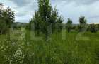 Teren intravilan, 4500 mp, zona Voinesti - 2