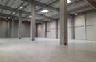 Spatiu Industrial - 5300 mp - Logistica - Productie - Depozitare - Distributie - 3