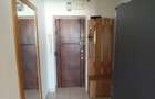 inchiriere apartament cu 3 camere cu vedere la Sala Palatului - 5