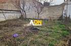 Casa 5 camere, 2 bai, 490 mp teren, Centru, pretabila pentru birouri