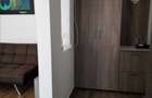 Apartament de inchiriat 2 camere Dumbravita - 3