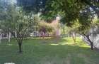 Vila P+1+M incojurata de o oaza de liniste si verdeata Bragadiru. - 13