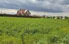 Teren de vanzare-Gulia-514 mp-30.000 Euro - 4