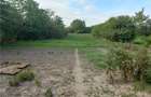 Casa 3 camere , baie , incalzire calorifere Gaiul Mic - 6