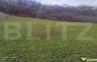 Teren superb 2.500 mp in Nicula lini?te, natura ?i p - 3
