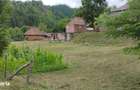 Casa de caramida la rosu, 3765mp teren intravilan, Valea Ariesului, AB - 4