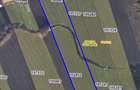 Teren intravilan 9.378 m² în Santău — liniște și verdeață, 8 min de Băile Tășnad