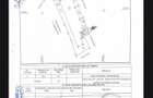 Apartament 2 camere open space si gradina - 10