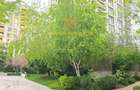 PENTHOUSE DUPLEX AVIATIEI PARK RESIDENCE 177.95 MP TERASA - 14