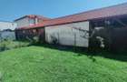 Apartament de inchiriat cu gradina - 4