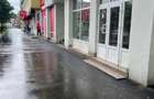 Inchiriez spatiu comercial stradal in Calea Ferentari 20 - 5