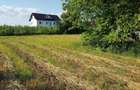 Teren intravilan Adunatii Copaceni | 3.399 mp | Ideal investitie - 11