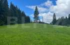 Teren 7000, Piatra Fantanele - Castel Dracula - 2